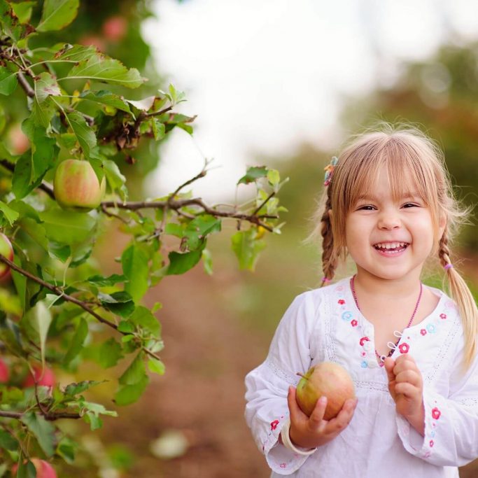 shutterstock_287026547_-1